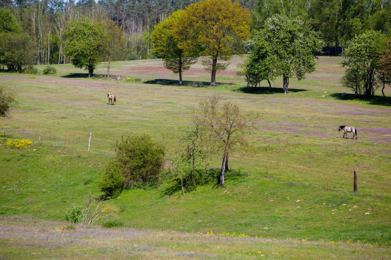 Przystań Łagówek - domki letniskowe Lagow (Swiebodzin) Exterior foto